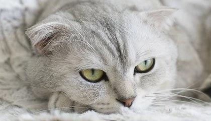 陪玩师如何平衡工作与生活